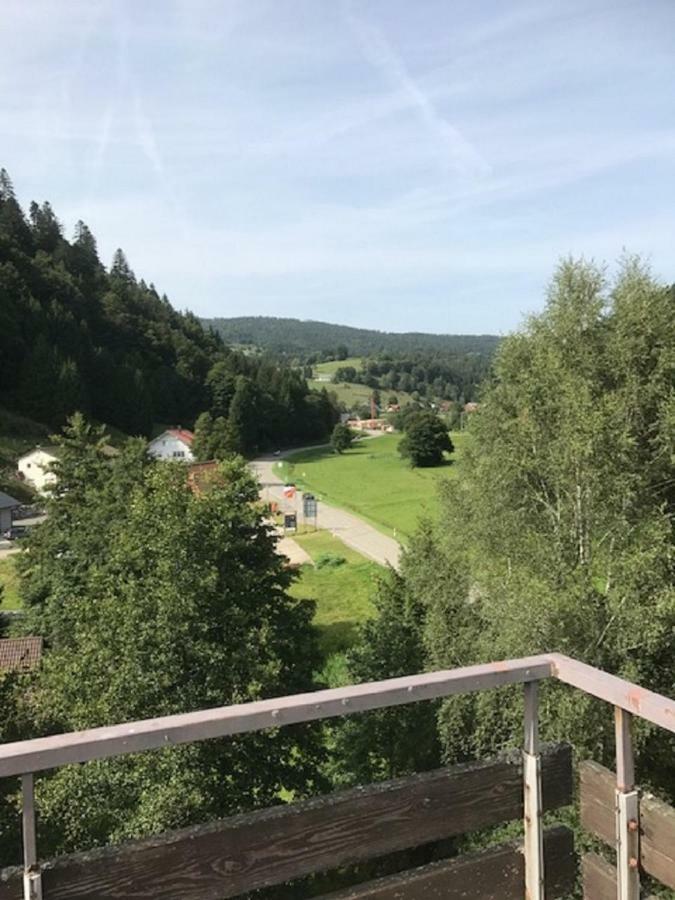 Fewo Mit Pool Haus Enere Au Тодтмос Екстер'єр фото