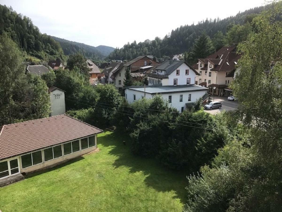 Fewo Mit Pool Haus Enere Au Тодтмос Екстер'єр фото
