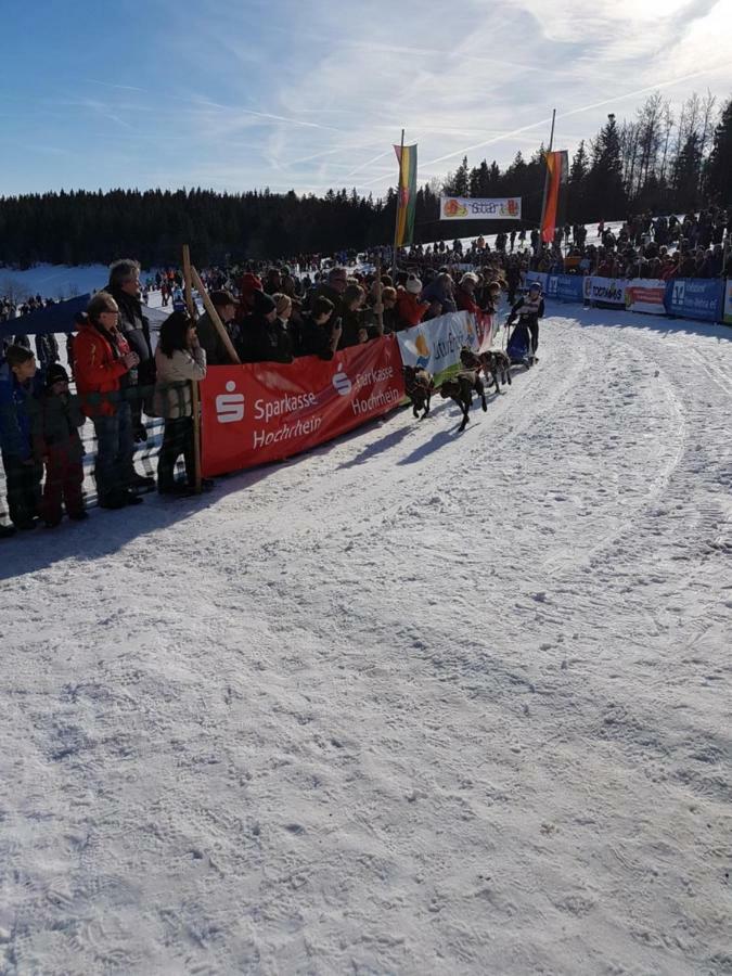 Fewo Mit Pool Haus Enere Au Тодтмос Екстер'єр фото