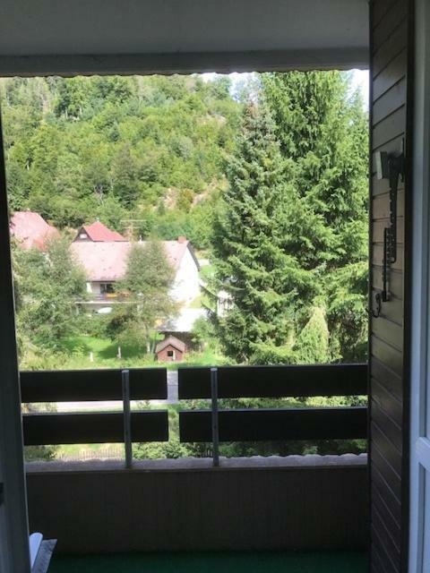 Fewo Mit Pool Haus Enere Au Тодтмос Екстер'єр фото